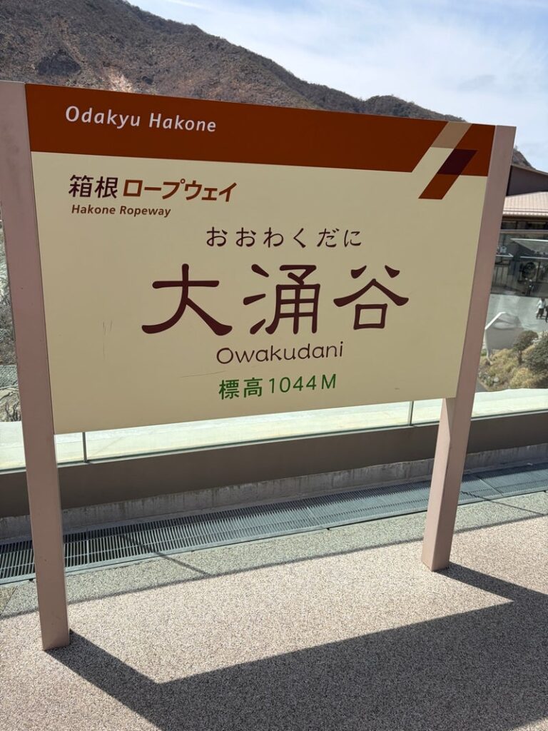 大涌谷 子連れ 箱根ロープウェイ
