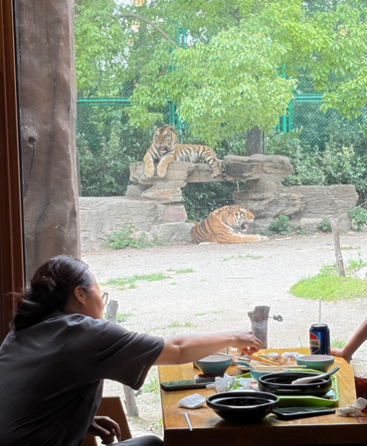上海野生動物園 虎レストラン 子連れ