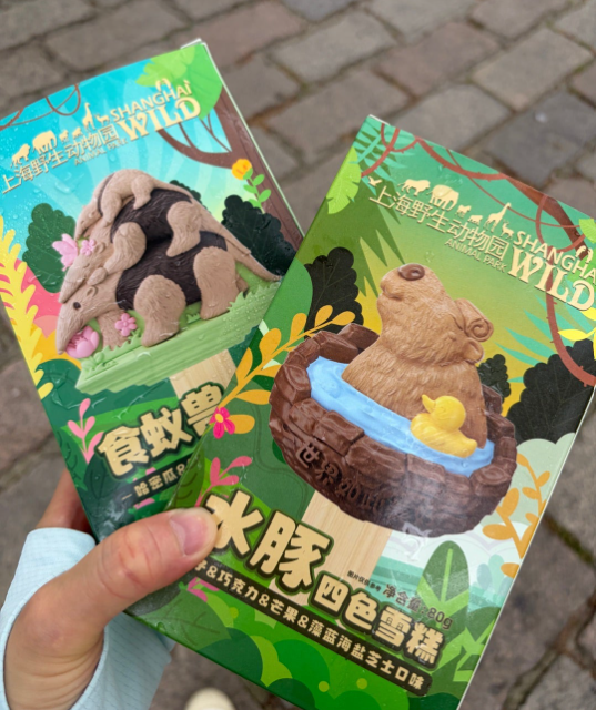 上海野生動物園 動物アイス アリクイ カピバラ