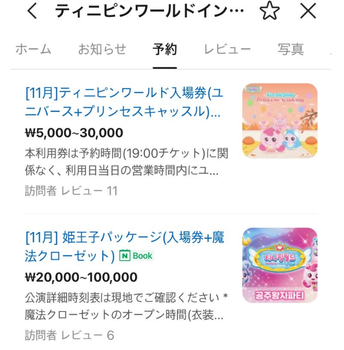 ティニピンワールド チケット購入の選択画面 NAVER Map